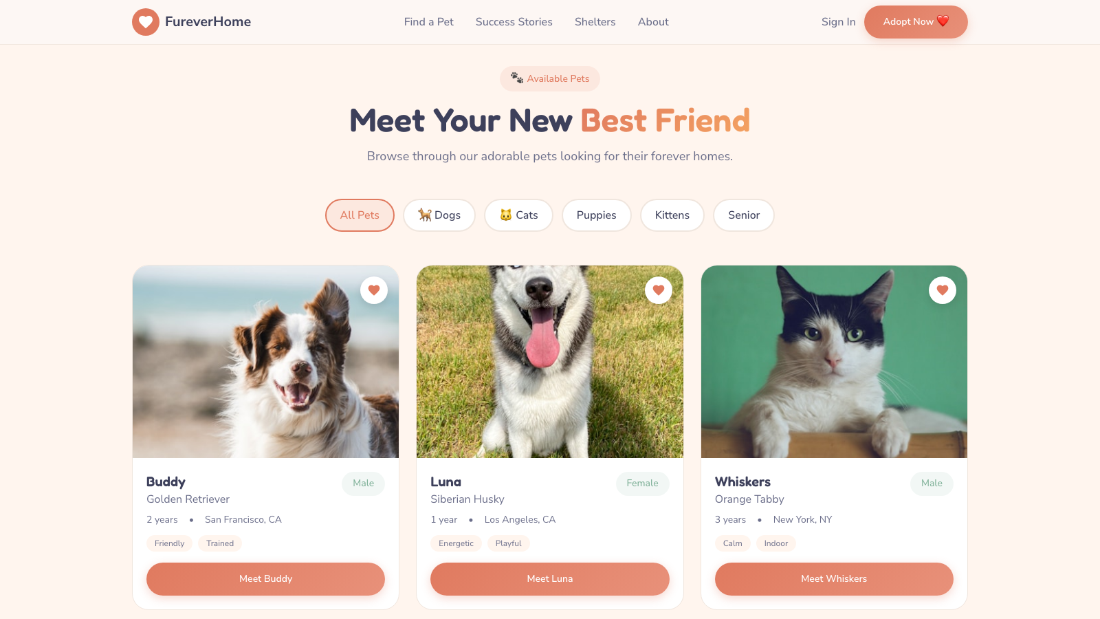 Pet Adoption 设计模板生成的网站内容区截图
